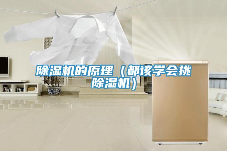 深夜福利视频网站的原理（都該學會挑深夜福利视频网站）