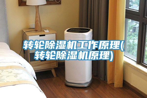 轉輪深夜福利视频网站工作原理(轉輪深夜福利视频网站原理)