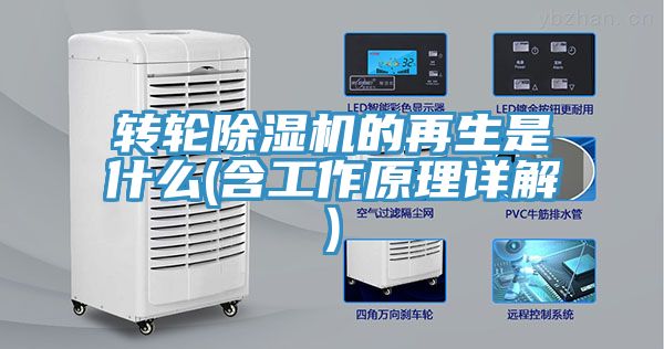 轉輪深夜福利视频网站的再生是什麽(含工作原理詳解)