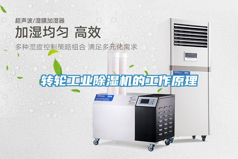 轉輪工業深夜福利视频网站的工作原理