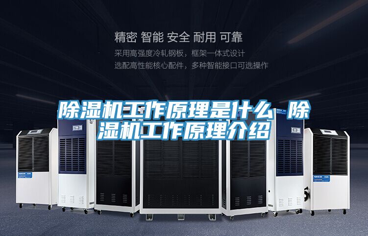 深夜福利视频网站工作原理是什麽 深夜福利视频网站工作原理介紹