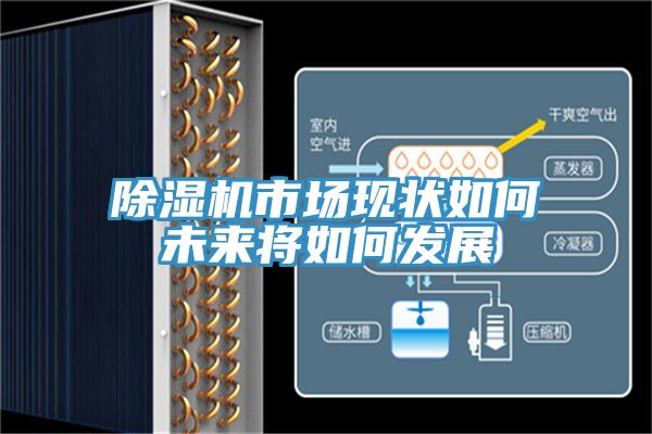 深夜福利视频网站市場現狀如何未來將如何發展