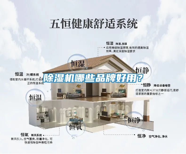 深夜福利视频网站哪些品牌好用？