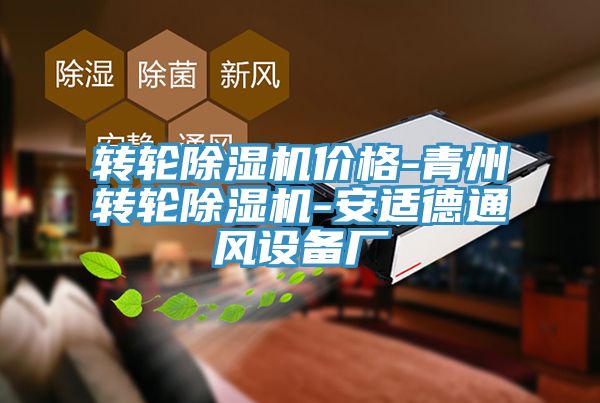 轉輪深夜福利视频网站價格-青州轉輪深夜福利视频网站-安適德通風設備廠