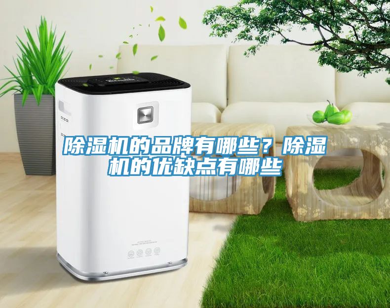 深夜福利视频网站的品牌有哪些？深夜福利视频网站的優缺點有哪些