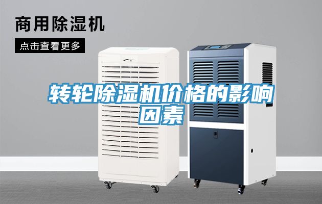 轉輪深夜福利视频网站價格的影響因素