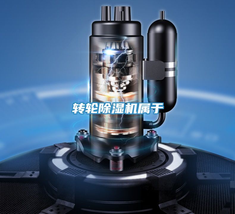 轉輪深夜福利视频网站屬於