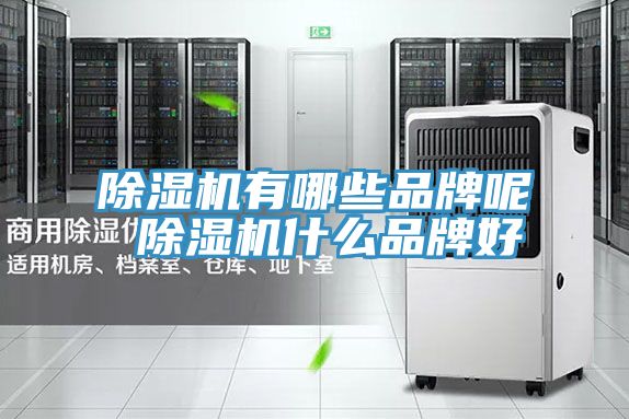 深夜福利视频网站有哪些品牌呢 深夜福利视频网站什麽品牌好