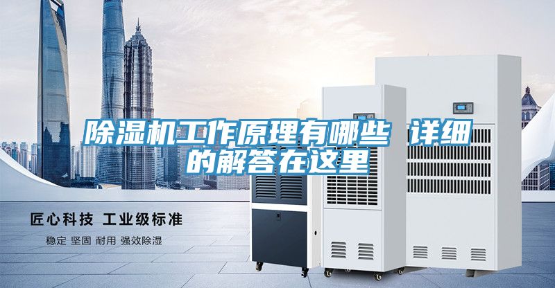 深夜福利视频网站工作原理有哪些 詳細的解答在這裏