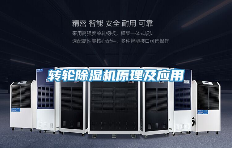 轉輪深夜福利视频网站原理及應用