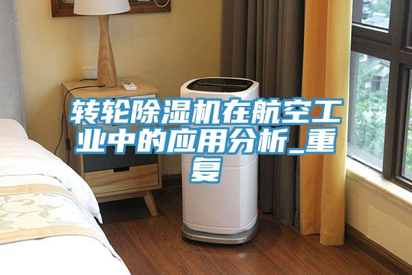 轉輪深夜福利视频网站在航空工業中的應用分析_重複