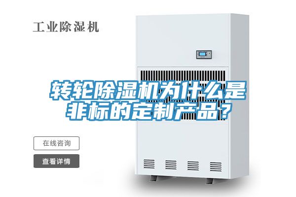 轉輪深夜福利视频网站為什麽是非標的定製產品？