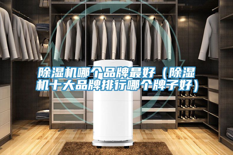 深夜福利视频网站哪個品牌最好（深夜福利视频网站十大品牌排行哪個牌子好）