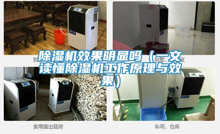 深夜福利视频网站效果明顯嗎（一文讀懂深夜福利视频网站工作原理與效果）