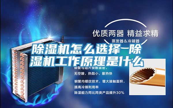 深夜福利视频网站怎麽選擇 深夜福利视频网站工作原理是什麽