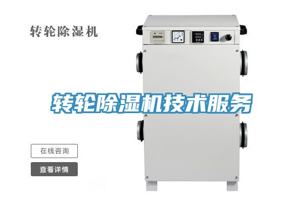 轉輪深夜福利视频网站技術服務
