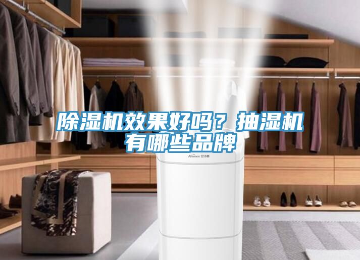 深夜福利视频网站效果好嗎？抽濕機有哪些品牌