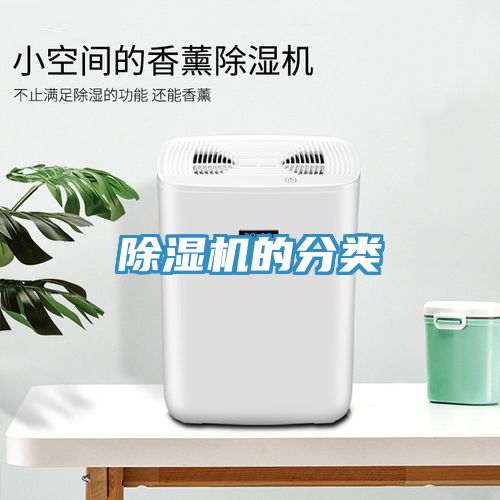 深夜福利视频网站的分類