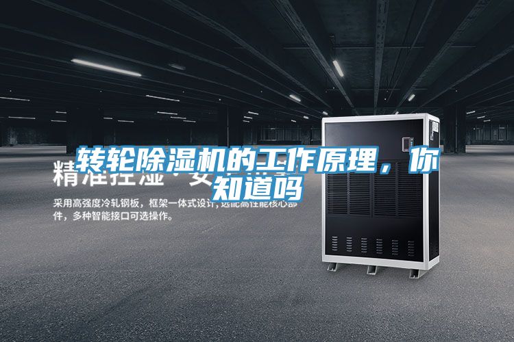 轉輪深夜福利视频网站的工作原理，你知道嗎