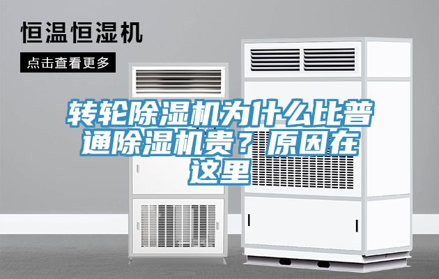 轉輪深夜福利视频网站為什麽比普通深夜福利视频网站貴？原因在這裏