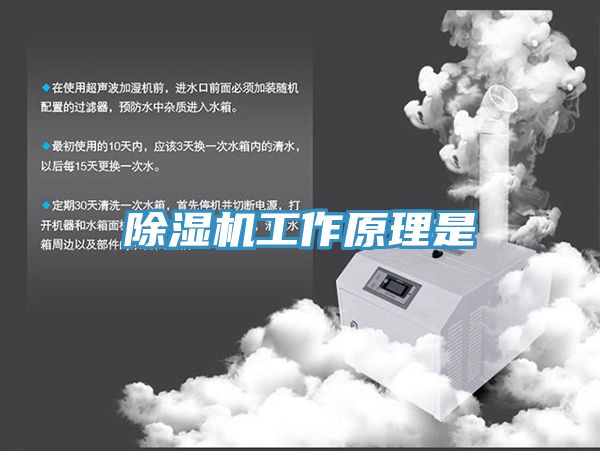深夜福利视频网站工作原理是