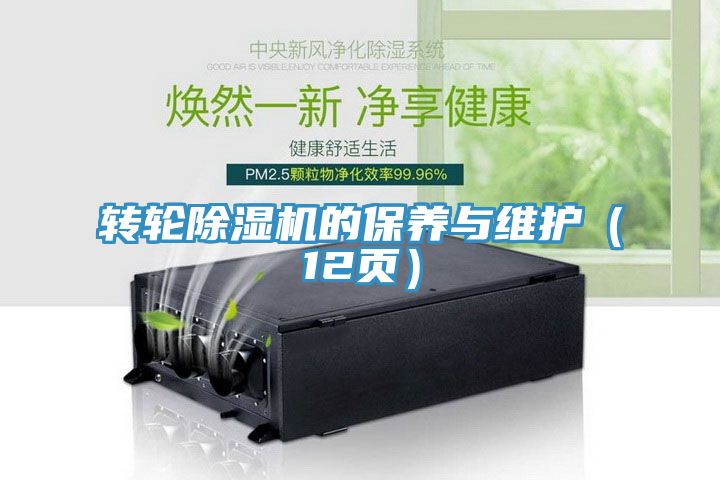 轉輪深夜福利视频网站的保養與維護（12頁）