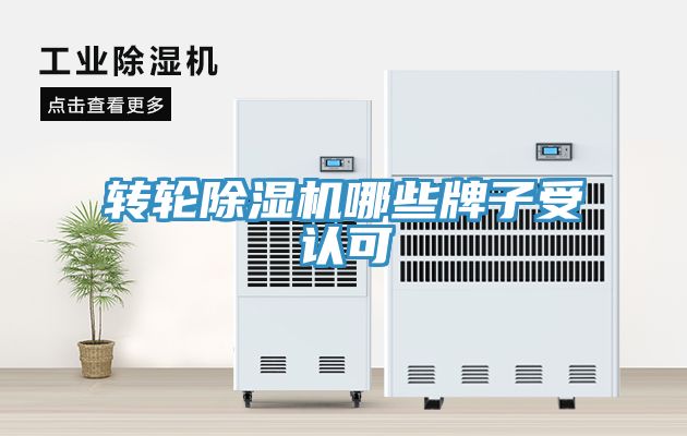 轉輪深夜福利视频网站哪些牌子受認可
