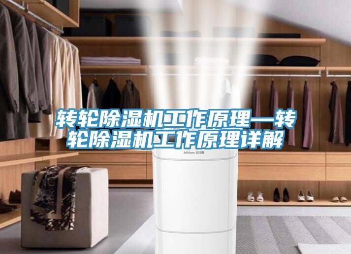 轉輪深夜福利视频网站工作原理—轉輪深夜福利视频网站工作原理詳解