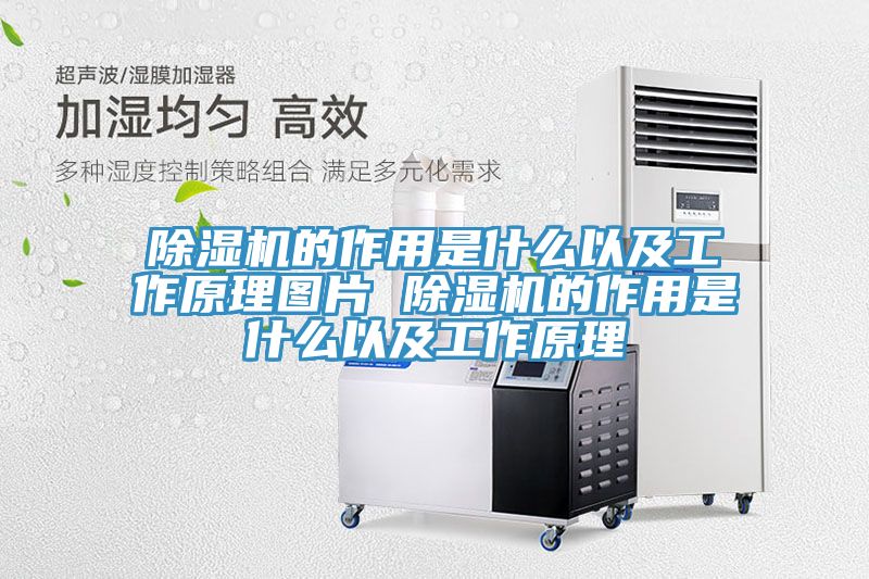 深夜福利视频网站的作用是什麽以及工作原理圖片 深夜福利视频网站的作用是什麽以及工作原理