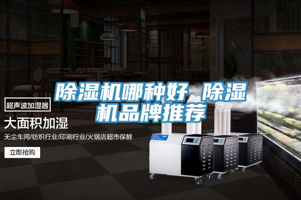 深夜福利视频网站哪種好 深夜福利视频网站品牌推薦