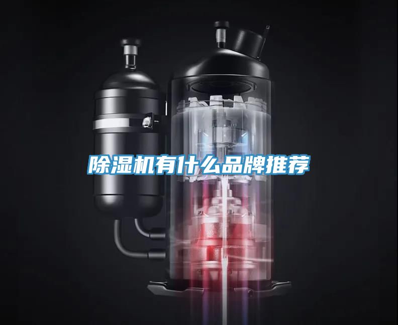 深夜福利视频网站有什麽品牌推薦