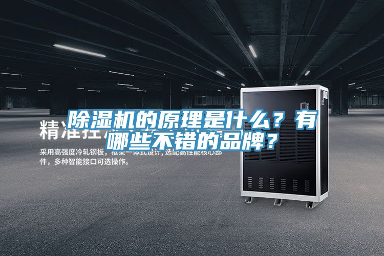 深夜福利视频网站的原理是什麽？有哪些不錯的品牌？