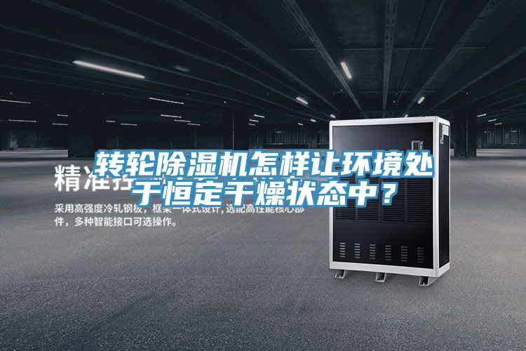 轉輪深夜福利视频网站怎樣讓環境處於恒定幹燥狀態中？