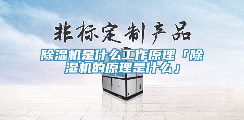深夜福利视频网站是什麽工作原理「深夜福利视频网站的原理是什麽」