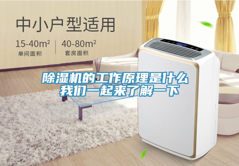 深夜福利视频网站的工作原理是什麽 深夜在线视频一起來了解一下