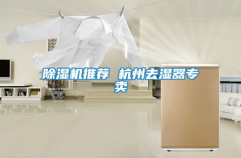 深夜福利视频网站推薦 杭州去濕器專賣