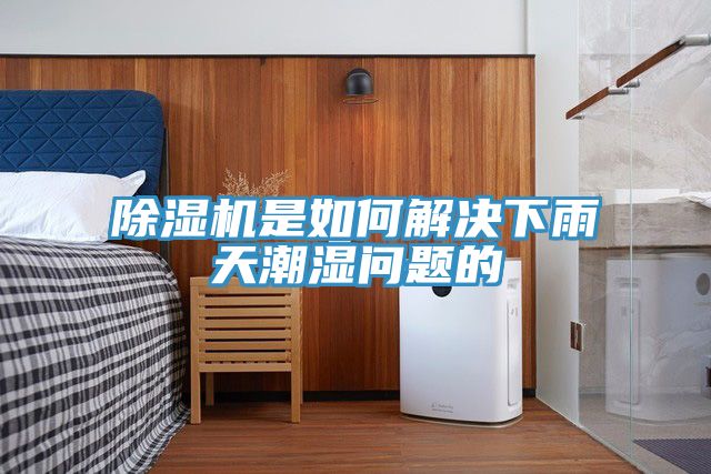 深夜福利视频网站是如何解決下雨天潮濕問題的