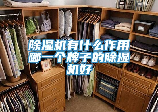 深夜福利视频网站有什麽作用哪一個牌子的深夜福利视频网站好