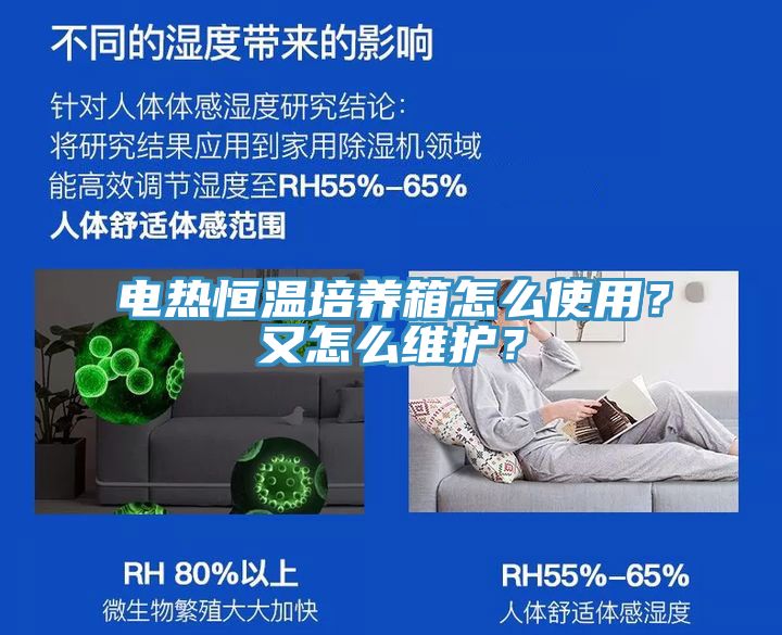 電熱恒溫培養箱怎麽使用？又怎麽維護？