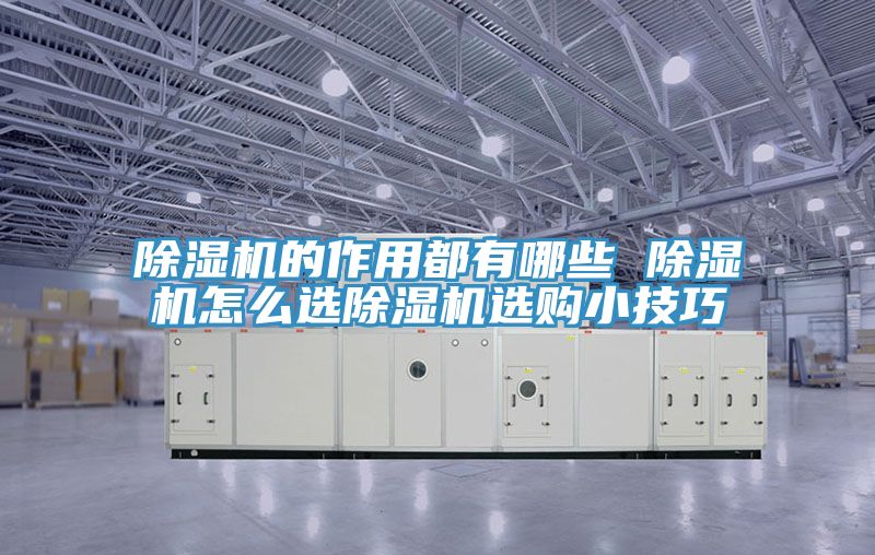 深夜福利视频网站的作用都有哪些 深夜福利视频网站怎麽選深夜福利视频网站選購小技巧
