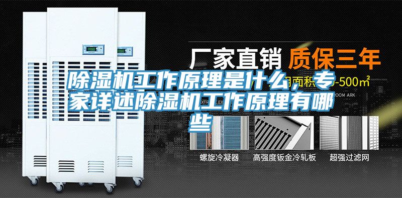 深夜福利视频网站工作原理是什麽，專家詳述深夜福利视频网站工作原理有哪些