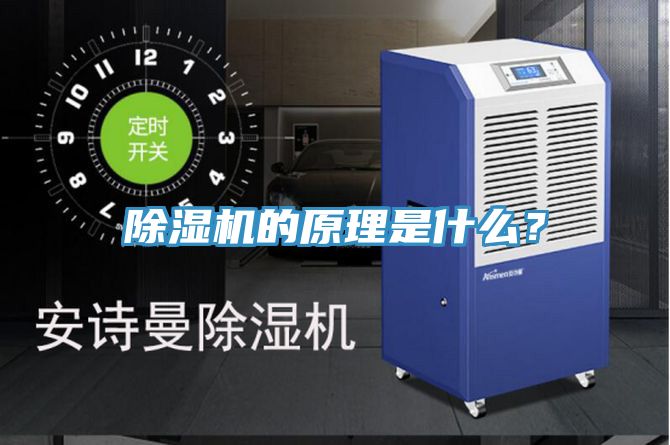 深夜福利视频网站的原理是什麽？