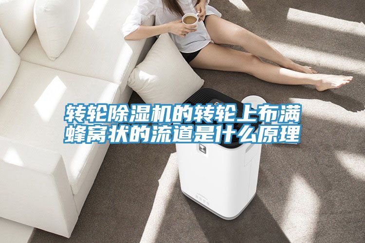 轉輪深夜福利视频网站的轉輪上布滿蜂窩狀的流道是什麽原理