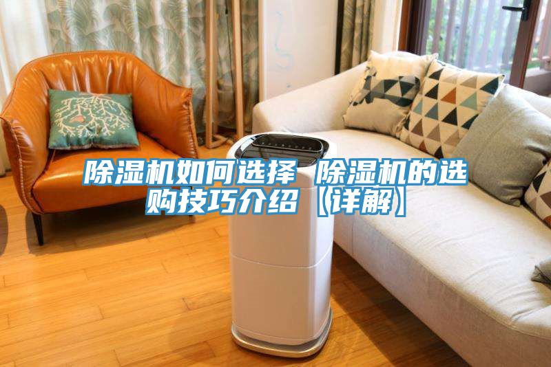 深夜福利视频网站如何選擇 深夜福利视频网站的選購技巧介紹【詳解】