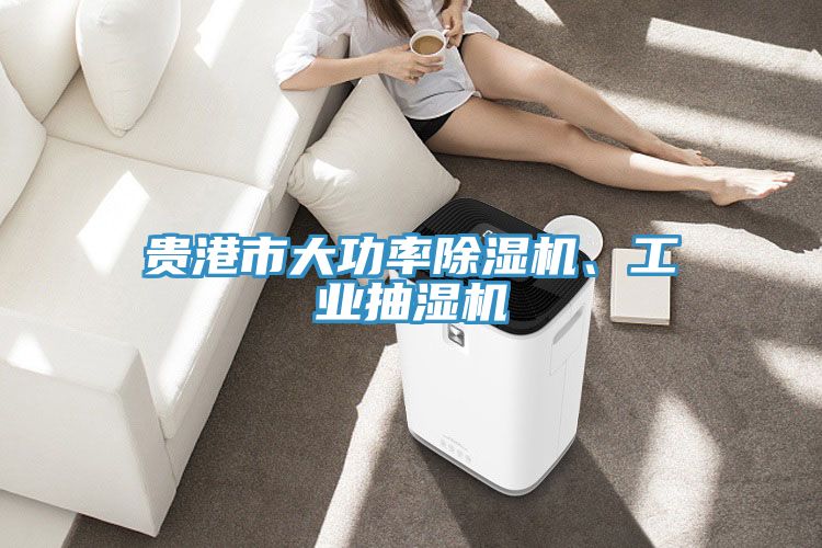 貴港市大功率深夜福利视频网站、工業抽濕機