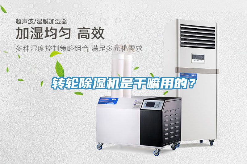 轉輪深夜福利视频网站是幹嘛用的？