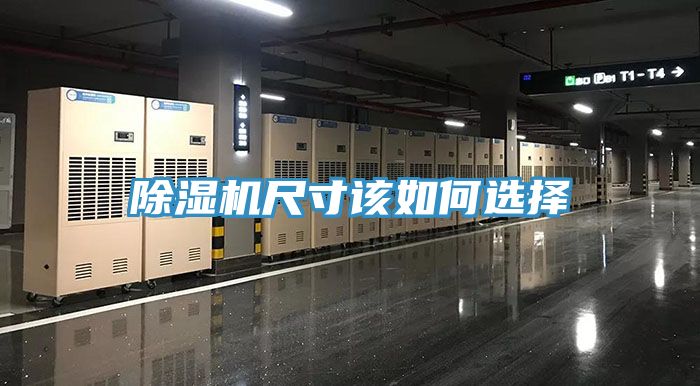 深夜福利视频网站尺寸該如何選擇