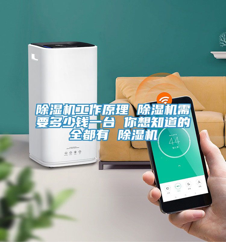 深夜福利视频网站工作原理 深夜福利视频网站需要多少錢一台 你想知道的全都有 深夜福利视频网站