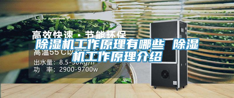 深夜福利视频网站工作原理有哪些 深夜福利视频网站工作原理介紹