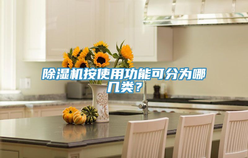 深夜福利视频网站按使用功能可分為哪幾類？
